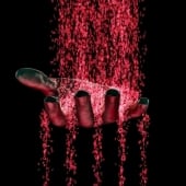 Data Leak Hand